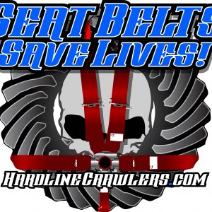 Seat Belt_2.jpg