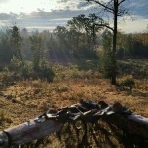 2015-08-18 18.51.58.jpg