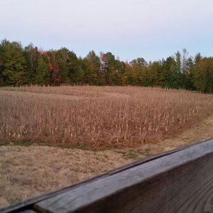 2015-08-18 18.52.54.jpg