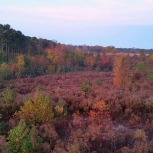 2015-08-18 18.53.21.jpg