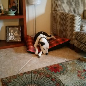 2015-08-24 17.40.38.jpg