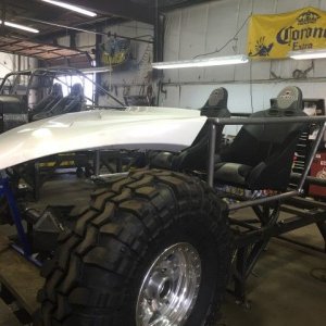 PENHALLHOOD (Small).jpg