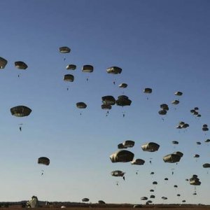 whoopass delivered.jpg