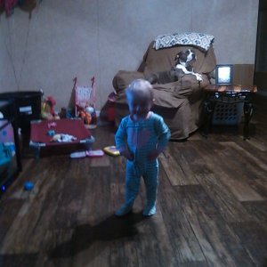 Media 'IMG_20160120_190854_039.jpg' in category 'Offroading Gallery'