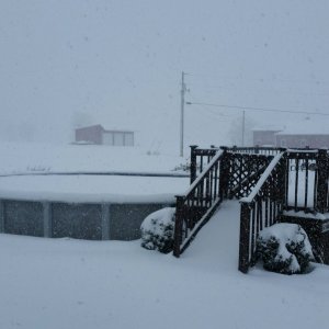 2016-01-22 11.55.59.jpg