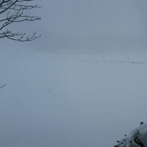 2016-01-22 11.57.40.jpg