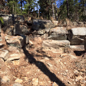 Screen Shot 2016-02-16 at 10.03.46 PM.png