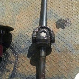 2016-03-01 14.22.54.jpg