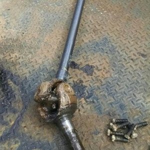 2016-03-01 14.23.32.jpg