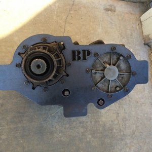 IMG_9002 (800x600).jpg