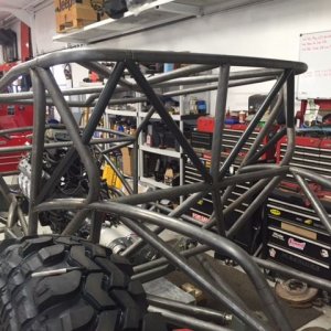 BUGGY CAGE BACK.JPG